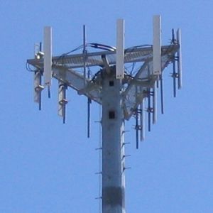 section antenna